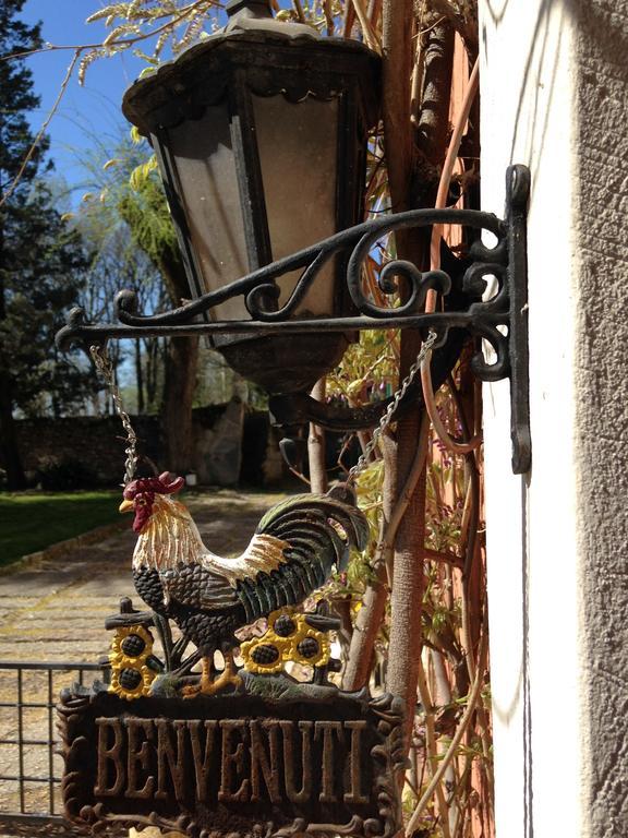 Agriturismo Corte Pellegrini Сан-Мартіно-Буон-Альберґо Екстер'єр фото